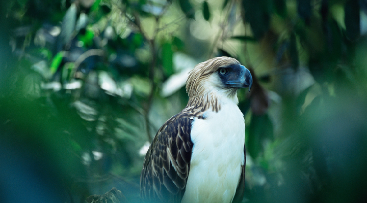 Larry’s Hill Adventure Hub