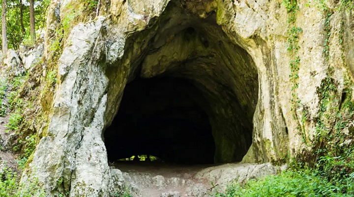 Macahambus Adventure Park