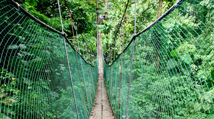 Macahambus Adventure Park