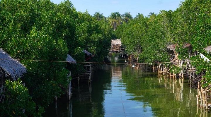 Larry’s Hill Adventure Hub