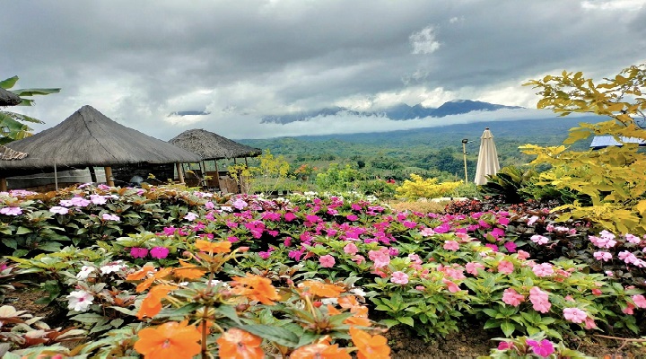 Puerto Verde Nature Park