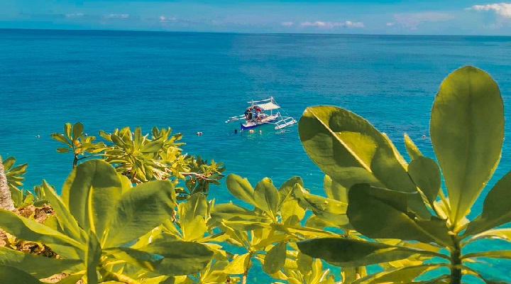 Mount Matutum Domesville